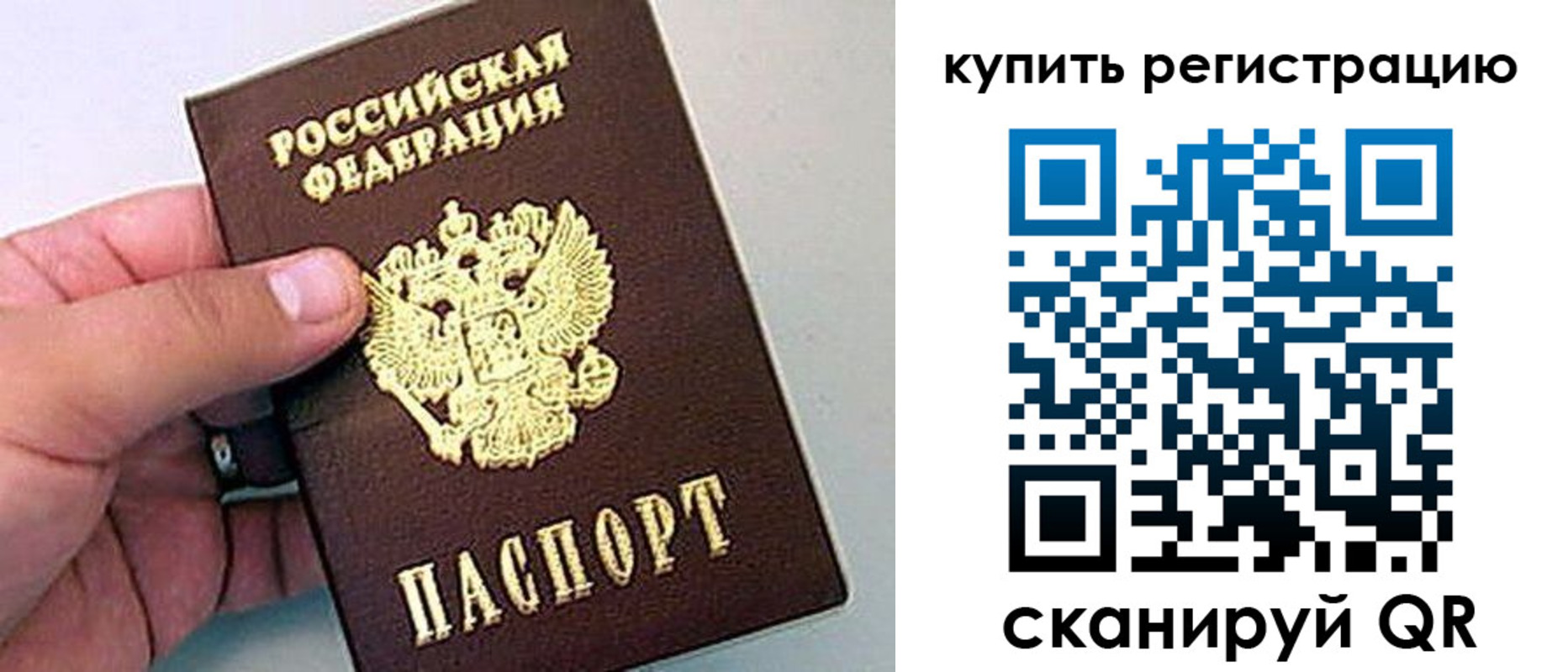 где прописаться в Кингисеппе