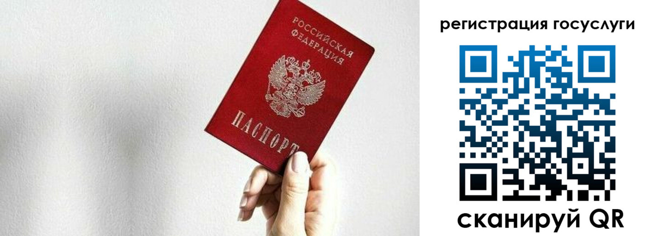 прописка гарантия в Кингисеппе